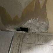 ヒメ日記 2025/07/07 09:13 投稿 みらい 素人系イメージSOAP彼女感大宮館