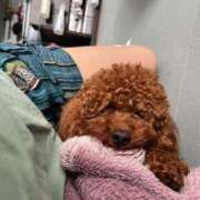 ヒメ日記 2025/07/31 18:56 投稿 みらい 素人系イメージSOAP彼女感大宮館