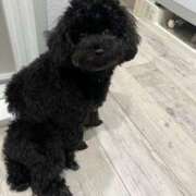 ヒメ日記 2025/07/31 23:56 投稿 みらい 素人系イメージSOAP彼女感大宮館