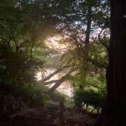 ヒメ日記 2025/08/05 07:16 投稿 みらい 素人系イメージSOAP彼女感大宮館