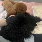 ヒメ日記 2025/08/08 09:04 投稿 みらい 素人系イメージSOAP彼女感大宮館