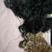 ヒメ日記 2025/09/01 19:11 投稿 みらい 素人系イメージSOAP彼女感大宮館