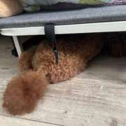 ヒメ日記 2025/09/07 22:13 投稿 みらい 素人系イメージSOAP彼女感大宮館