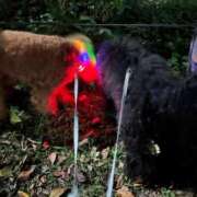 ヒメ日記 2025/10/18 09:32 投稿 みらい 素人系イメージSOAP彼女感大宮館