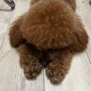 ヒメ日記 2025/10/18 09:35 投稿 みらい 素人系イメージSOAP彼女感大宮館