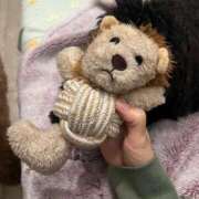 ヒメ日記 2025/10/28 02:00 投稿 みらい 素人系イメージSOAP彼女感大宮館