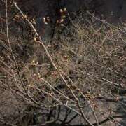 ヒメ日記 2026/03/17 00:30 投稿 みらい 素人系イメージSOAP彼女感大宮館