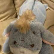 ヒメ日記 2024/12/18 00:01 投稿 のぞみ 名古屋回春性感マッサージ倶楽部