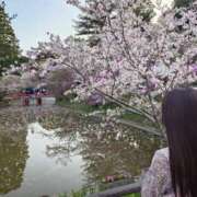 ヒメ日記 2025/04/09 20:41 投稿 のぞみ 名古屋回春性感マッサージ倶楽部