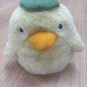 ヒメ日記 2026/04/01 22:49 投稿 のぞみ 名古屋回春性感マッサージ倶楽部