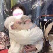 ヒメ日記 2025/10/15 11:05 投稿 ひなた カルテDayShift