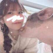 ヒメ日記 2025/11/05 09:12 投稿 ひなた カルテDayShift