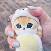 ヒメ日記 2026/03/27 09:30 投稿 しおり 激安ソープの殿堂　ボイン・ホーテ