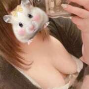 ヒメ日記 2026/03/31 09:30 投稿 しおり 激安ソープの殿堂　ボイン・ホーテ