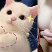 ヒメ日記 2026/04/01 10:29 投稿 しおり 激安ソープの殿堂　ボイン・ホーテ