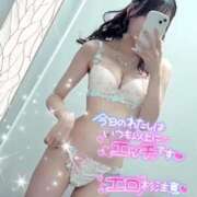 ヒメ日記 2024/12/28 11:45 投稿 音羽（おとは） NOA（ノア）