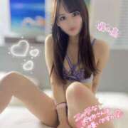 ヒメ日記 2025/04/14 16:38 投稿 音羽（おとは） NOA（ノア）