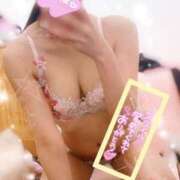 ヒメ日記 2025/04/26 22:17 投稿 音羽（おとは） NOA（ノア）