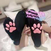 ヒメ日記 2025/06/09 23:44 投稿 音羽（おとは） NOA（ノア）