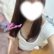 ヒメ日記 2026/05/20 07:37 投稿 音羽（おとは） NOA（ノア）