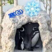 ヒメ日記 2026/01/14 03:59 投稿 かりん 完熟ばなな 谷九店