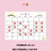 ヒメ日記 2025/02/27 23:20 投稿 もも RED BERYL～レッドベリル～