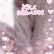 ヒメ日記 2024/12/22 08:30 投稿 すずね おしゃれカンケイ