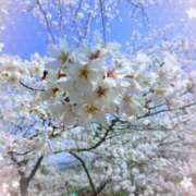 ヒメ日記 2025/04/09 10:55 投稿 すずね おしゃれカンケイ