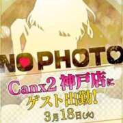 ヒメ日記 2025/03/15 11:16 投稿 大川 楪 プルプルハウス