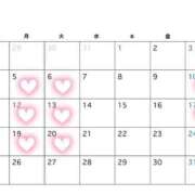 セイラ ありがとう? PLATINUM