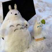 ヒメ日記 2026/02/19 20:48 投稿 宇野　ゆずき プルプル札幌性感エステ はんなり