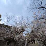 ヒメ日記 2025/03/30 15:25 投稿 あやな 玉乱☆痴（たまらんち）