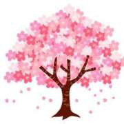 ヒメ日記 2025/04/01 10:15 投稿 あやな 玉乱☆痴（たまらんち）