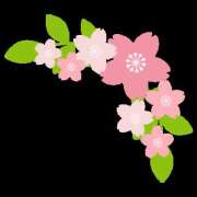 ヒメ日記 2025/04/02 10:49 投稿 あやな 玉乱☆痴（たまらんち）