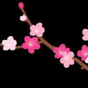 ヒメ日記 2025/04/04 20:30 投稿 あやな 玉乱☆痴（たまらんち）