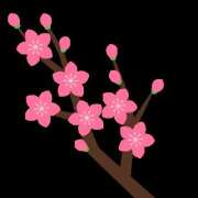 ヒメ日記 2025/04/17 22:00 投稿 あやな 玉乱☆痴（たまらんち）