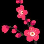 ヒメ日記 2025/04/23 10:01 投稿 あやな 玉乱☆痴（たまらんち）