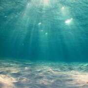 ヒメ日記 2025/05/05 15:15 投稿 あやな 玉乱☆痴（たまらんち）