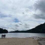 白井 長月の始まり ローズマリー大塚