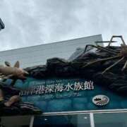 白井 神無月 ローズマリー大塚