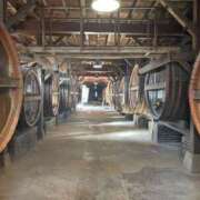 白井 生まれ故郷へ ローズマリー大塚