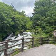 ヒメ日記 2026/04/21 08:27 投稿 白井 ローズマリー大塚