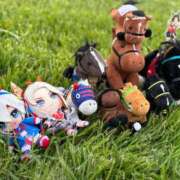 白井 気圧の変化 ローズマリー大塚