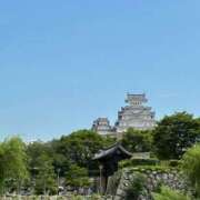 白井 旅行から帰って来ました ローズマリー大塚