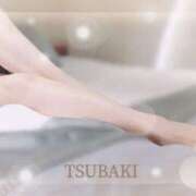 ヒメ日記 2025/01/17 01:21 投稿 朝比奈 椿 こあくまな熟女たち 本厚木店(KOAKUMAグループ)