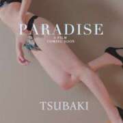 ヒメ日記 2025/11/19 11:41 投稿 朝比奈 椿 こあくまな熟女たち 本厚木店(KOAKUMAグループ)