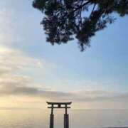 ヒメ日記 2025/12/04 09:21 投稿 つばき Blue Lagoon(ブルーラグーン)