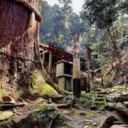 ヒメ日記 2026/03/25 11:01 投稿 つばき Blue Lagoon(ブルーラグーン)