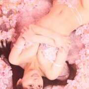 ヒメ日記 2026/04/07 10:33 投稿 えみり Versailles