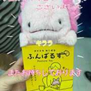 ヒメ日記 2025/03/23 21:56 投稿 きらら ぽちゃ巨乳専門　新大久保・新宿歌舞伎町ちゃんこ